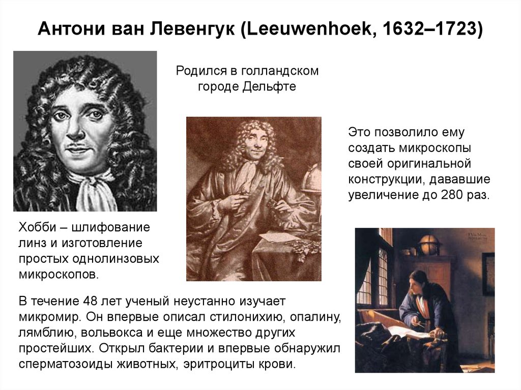 1 простейшие были открыты. Антони Ван Левенгук (1632-1723). Учёный Антони Ван Левенгук. Антони Ван Левенгук портрет. Антони Ван Левенгук микроскоп.