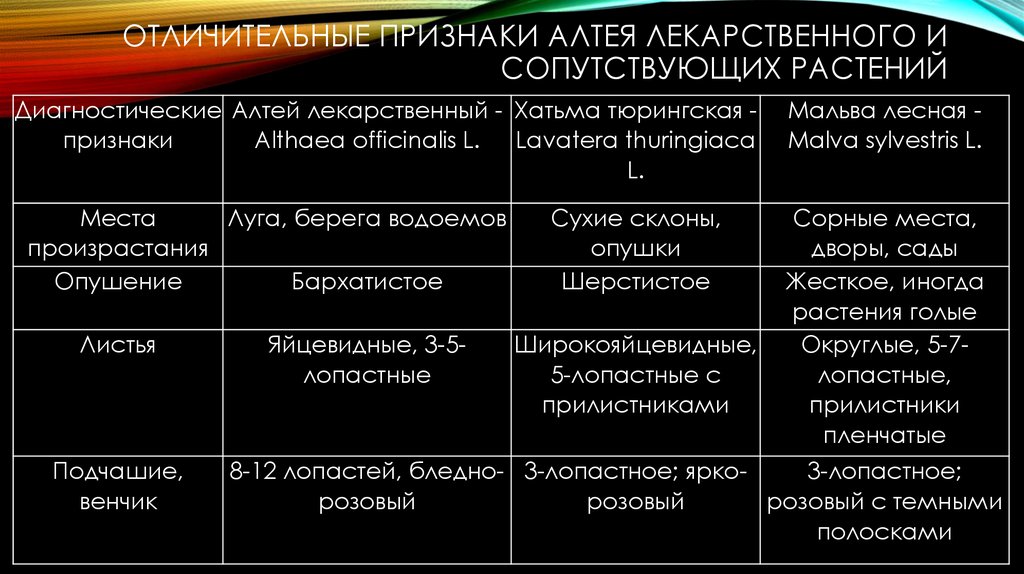 Отличительные признаки. Анатомо-диагностические признаки корня Алтея. Отличительные признаки Алтея. Анатомо-диагностические признаки ЛРС. Анатомо- диагностические признаки лекарственного сырья.