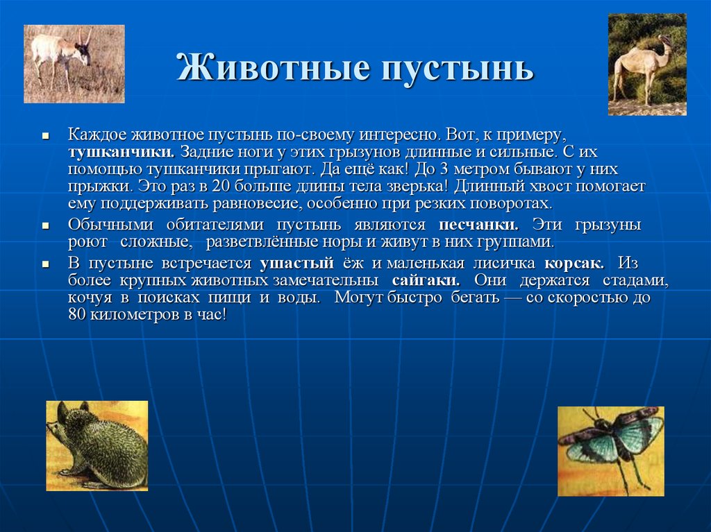 Сообщение животные пустыни окружающий мир 4 класс. Сообщение о животных пустыни. Доклад о животных в пустыне. Сообщуниео животных пустыни. Животные зоны пустынь.