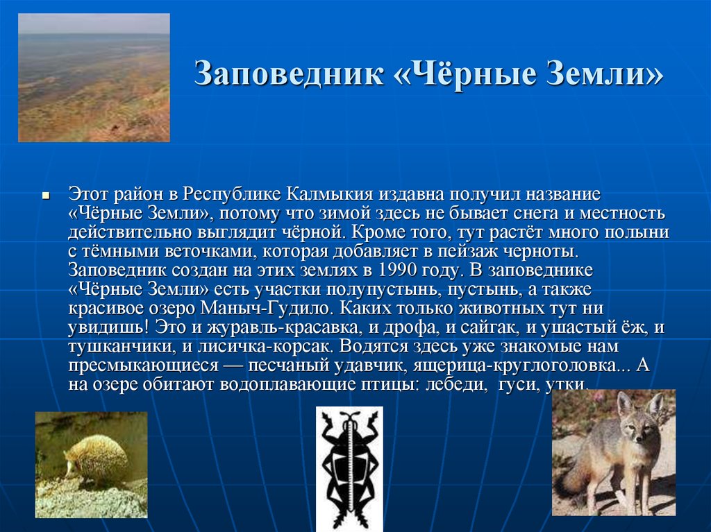 Запиши название заповедников в зоне пустынь. Заповедник чёрные земли доклад. Чёрные земли заповедник природная зона. Заповедники пустыни в России. Заповедники в пустыне.