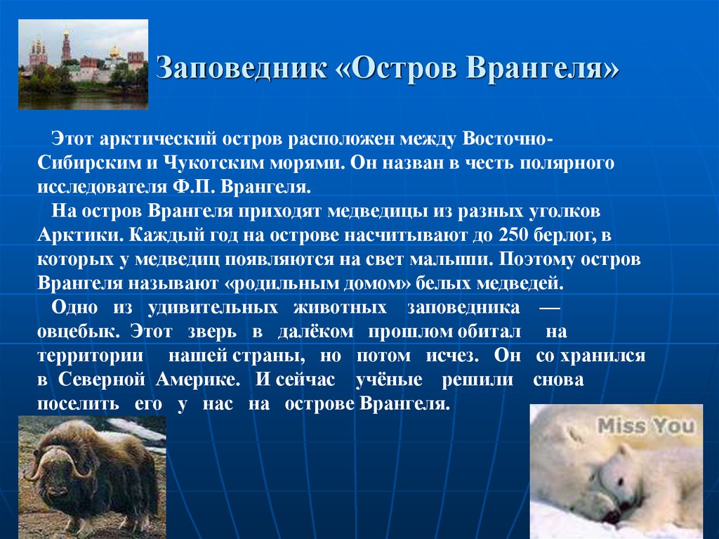 Запиши названия заповедников расположенных в зоне. Заповедник остров Врангеля природная зона. Сообщение об острове Врангеля 4 класс окружающий мир. Заповедники арктической зоны. Заповедники в зоне Арктики.