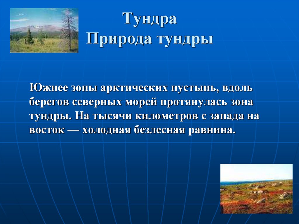 Эта природная зона протягивается вдоль северного побережья. Тундра холодная Безлесная равнина. Природные условия тундры 4 класс. Неживая природа тундры презентация. Зона арктических пустынь и тундра.