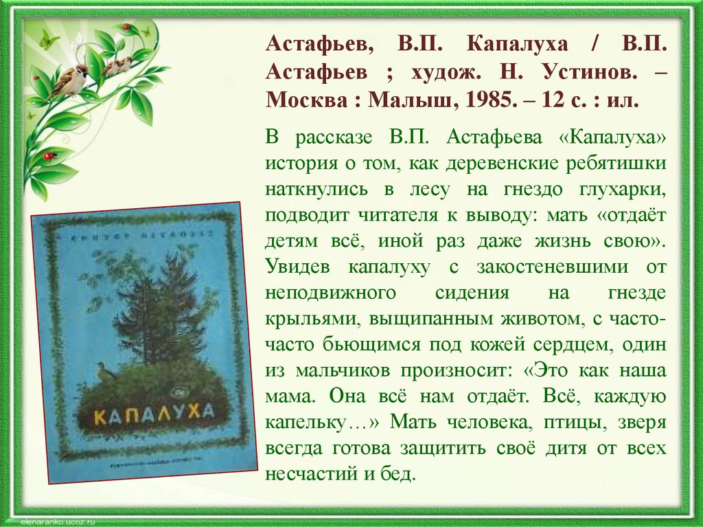 Рассказ о капалухе как о заботливой матери. Расказ Астафьева "Капалуха". Капалуха Астафьев. Капалуха рассказ Астафьева.