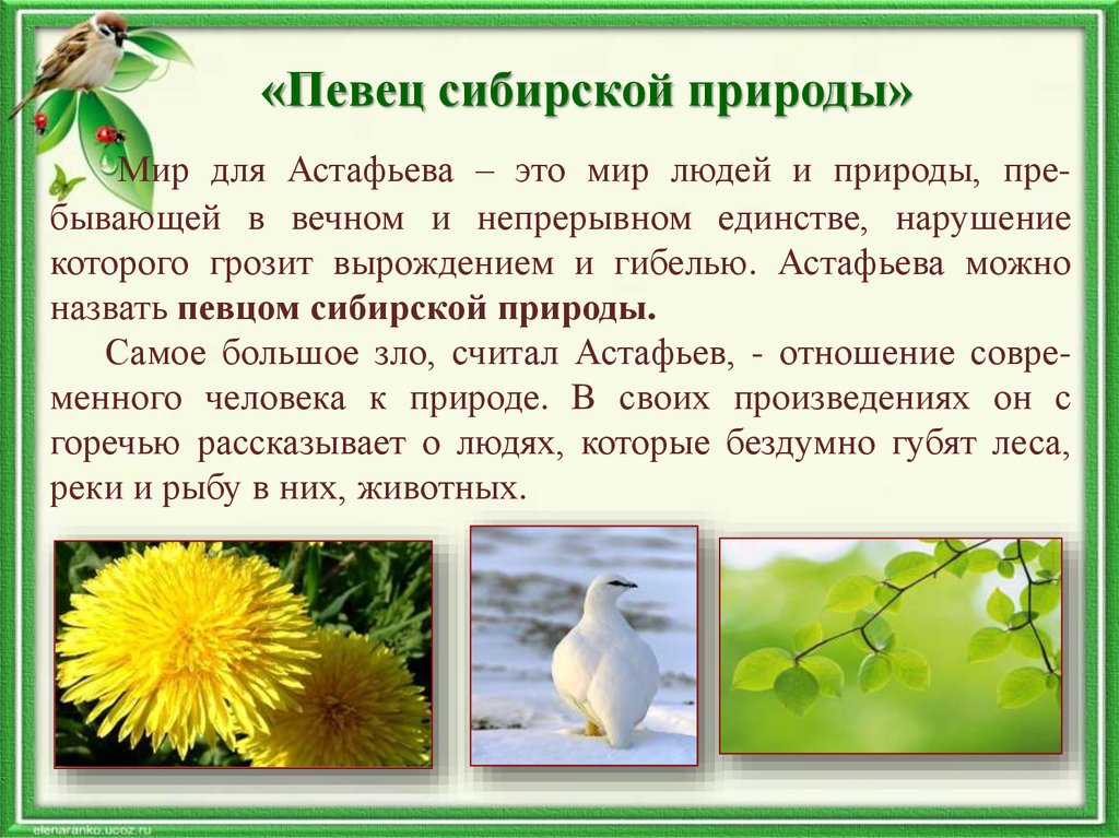 Природа сибири текст