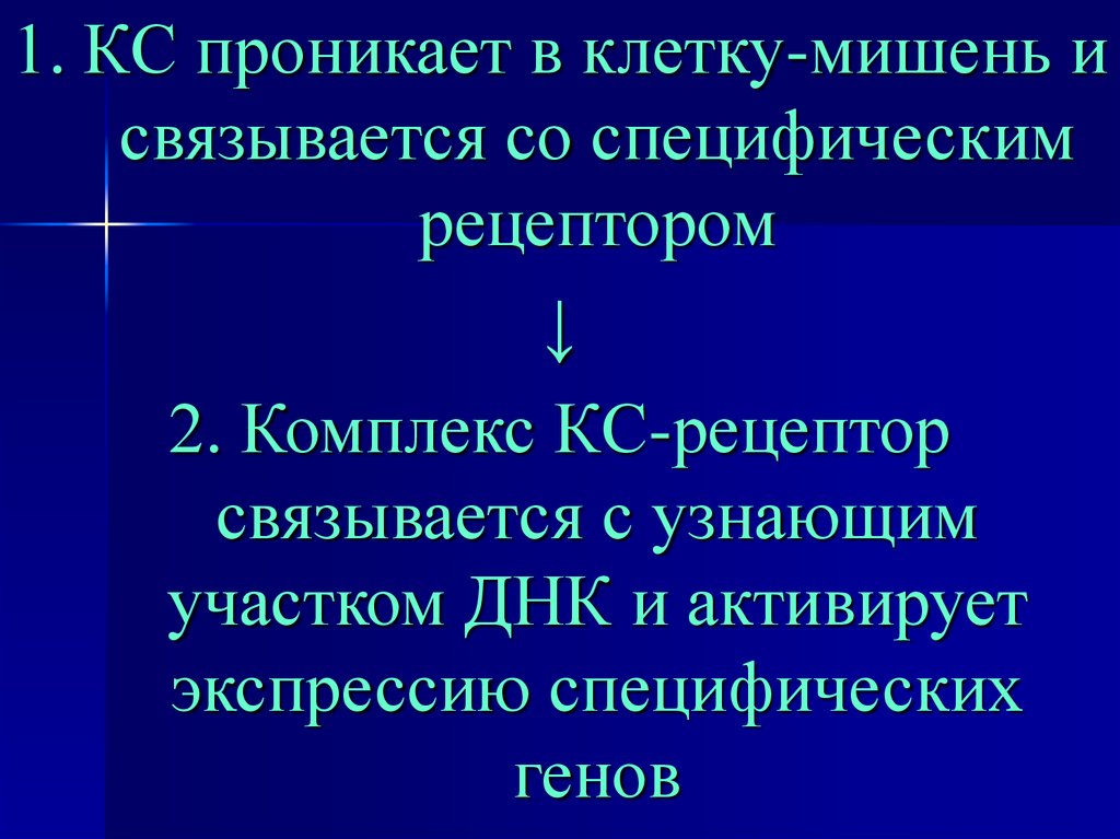 Препараты коры надпочечников. Клетки мишени кортикостероидов. Гормональные препараты коры надпочечников классификация. Сравнительная характеристика препаратов коры надпочечников.