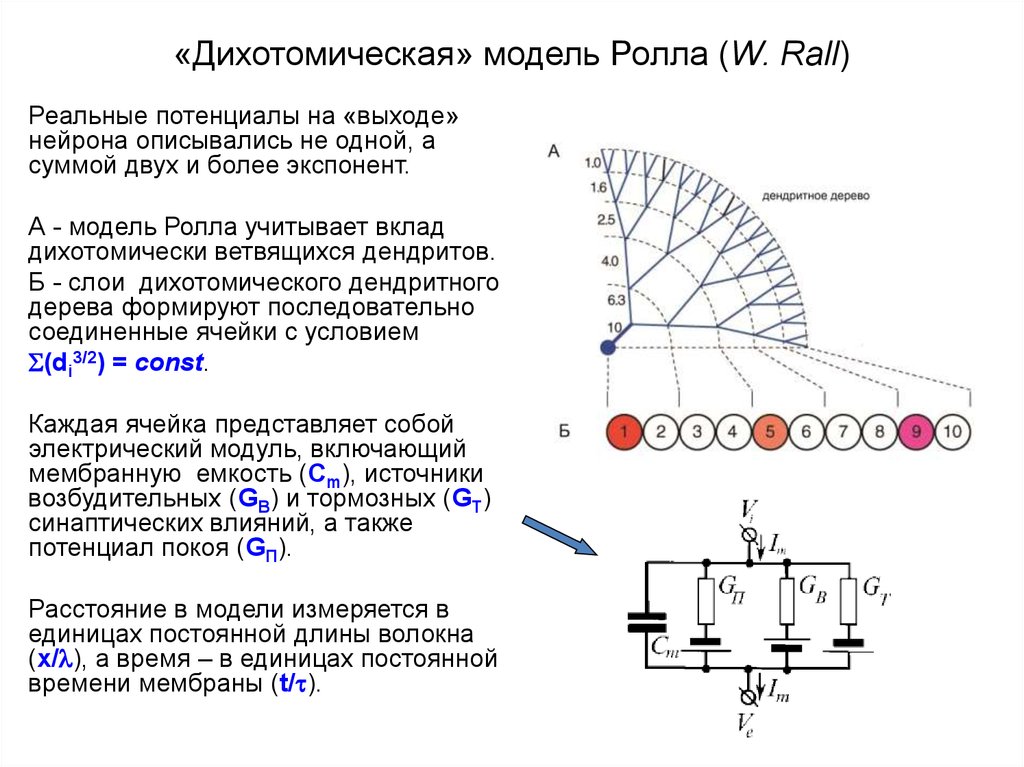 Дихотомическая картина мира