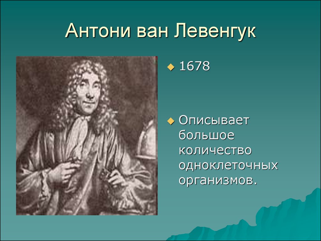 Ван левенгук. Антоний Ван Левенгук. Антони Ван Левенгук одноклеточных организмов. 1685 Антони Ван Левенгук. Антони Ван Левенгук прокариоты.