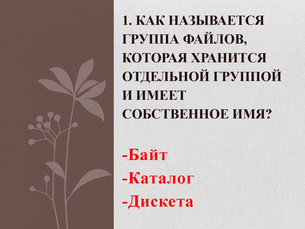 Отдельный сохранить. Группа файлов которая хранится отдельной группой и имеет собственное. Как называется группа файлов которая хранится отдельной.