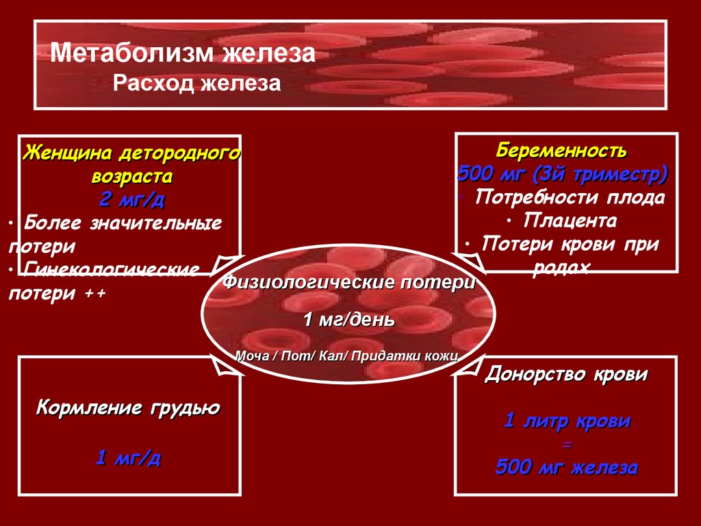 Метаболизм железа. Расход железа. Метаболизм железа реакции. Расход железа при.