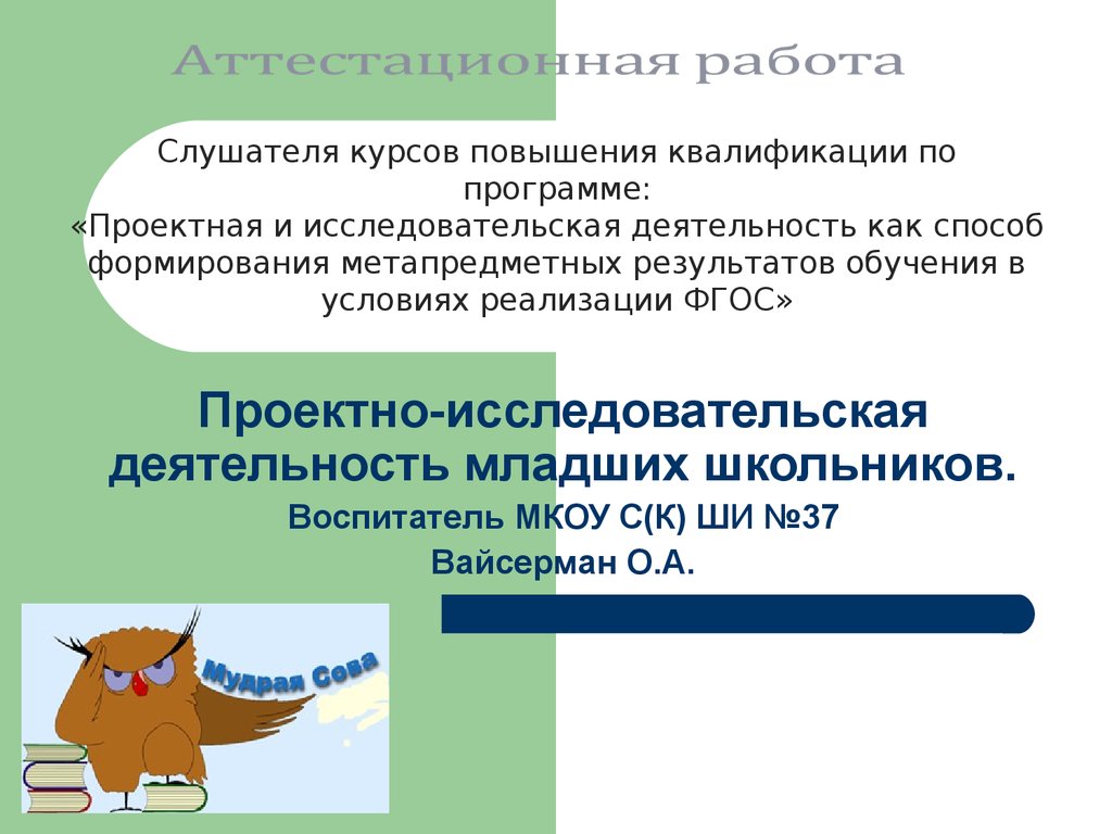 Готовые исследовательские работы по английскому