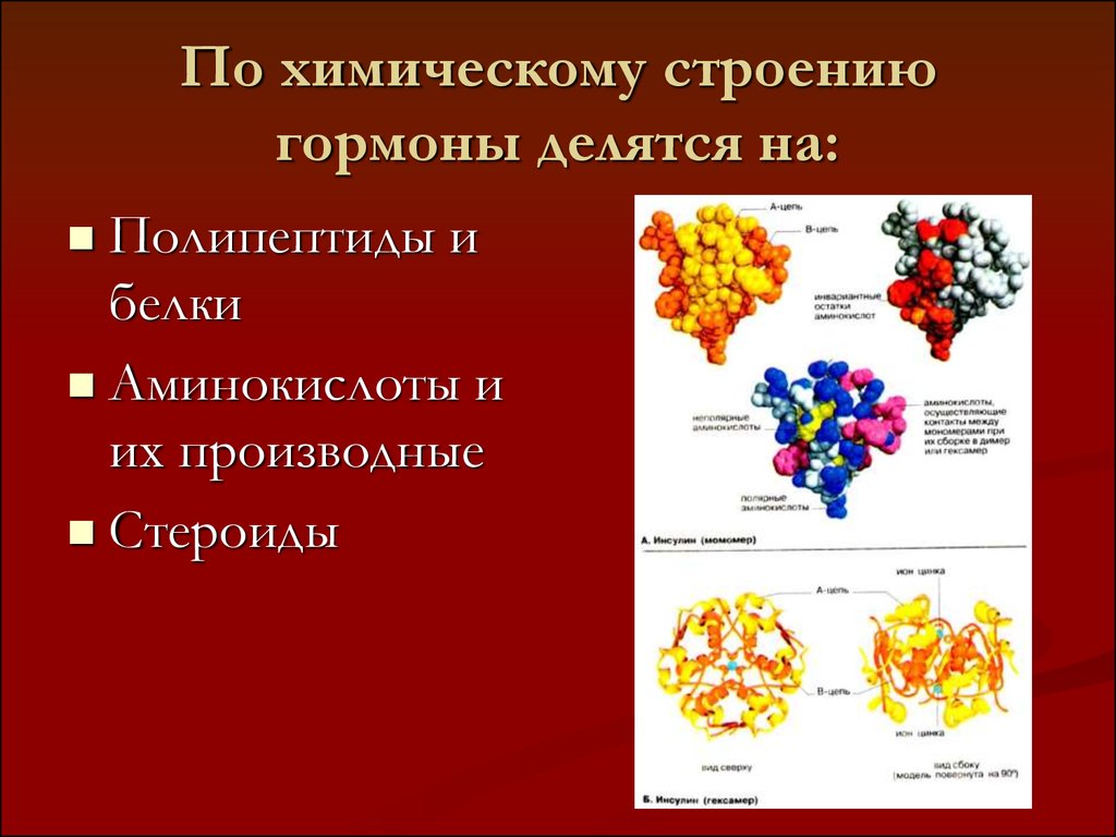 Проект по химии гормоны