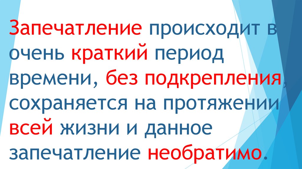 Сохраняющийся на протяжении. Запечатление. Импринтинг (запечатление) происходит:. Импринтинг запечатление привязанности. Социальные инстинкты импринтинг.