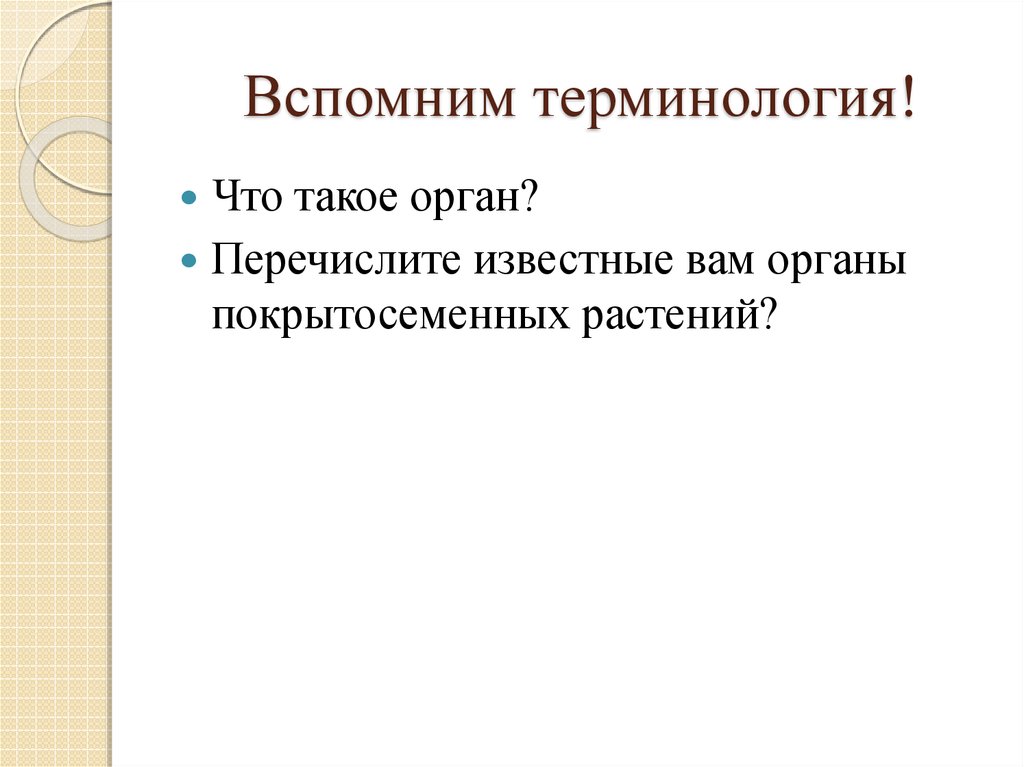 Перечислите известные вам органов