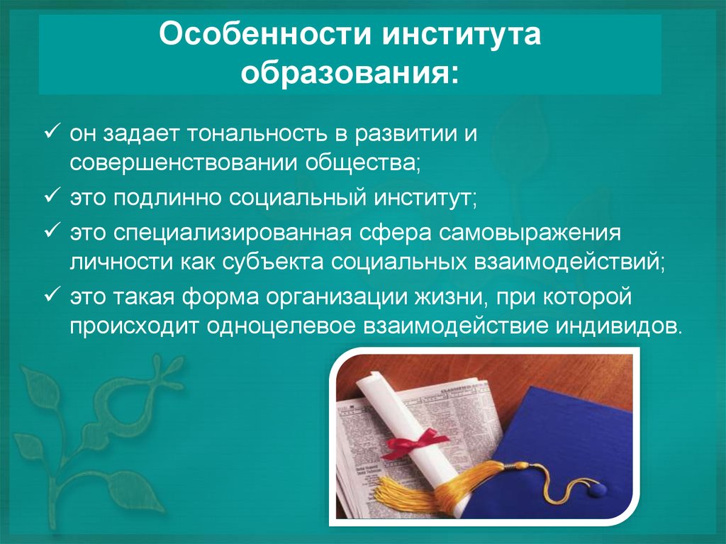 Образовательные институты общества