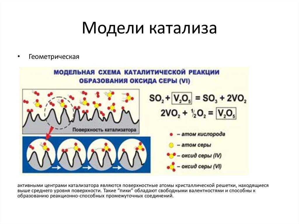 Роль катализа