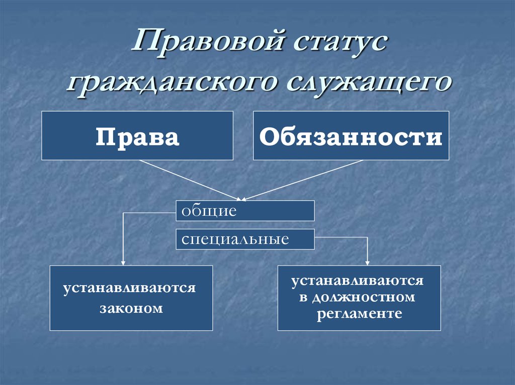 Гражданский статус. Правовой статус государственных служащих. Правовое положение гражданского служащего. Правовой статус госслужащего. Статус государственного гражданского служащего.