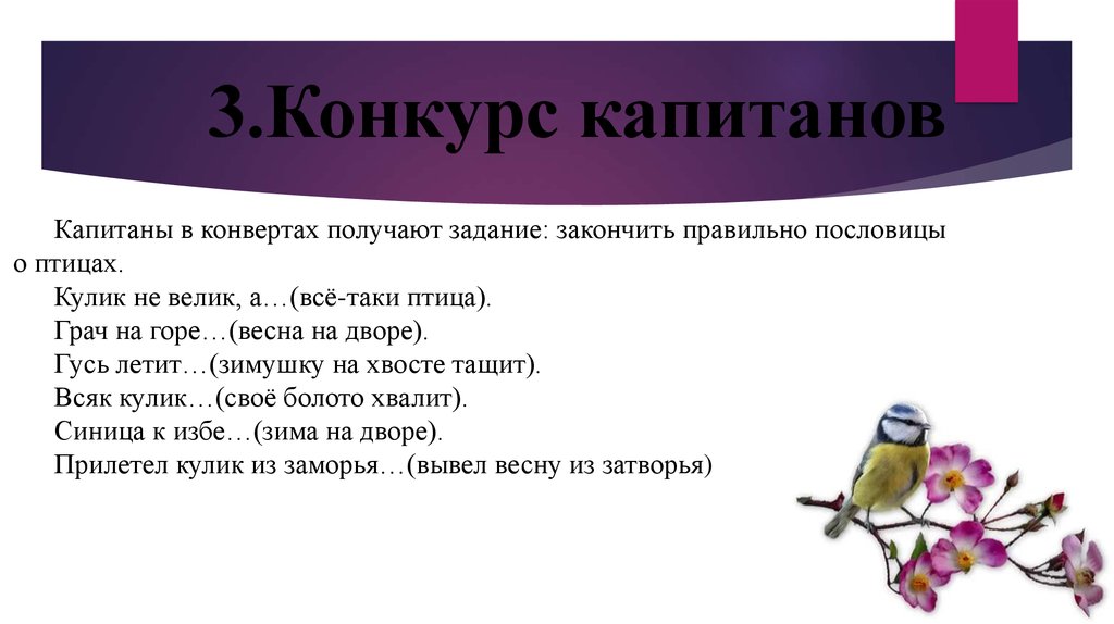 Поговорки о грачах как красиво оформить. Пословица всякая птица. Пословицы о Грачах. Пословица про Кулика. Две пословицы о Грачах.