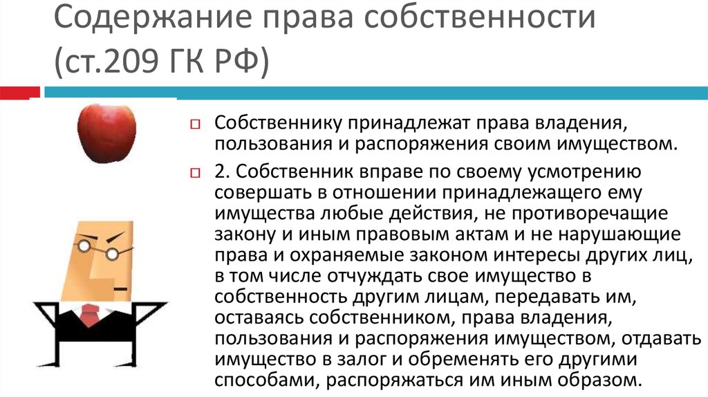 Собственниками в рф могут быть. Собственнику принадлежит право. Статья 209 ГК РФ.