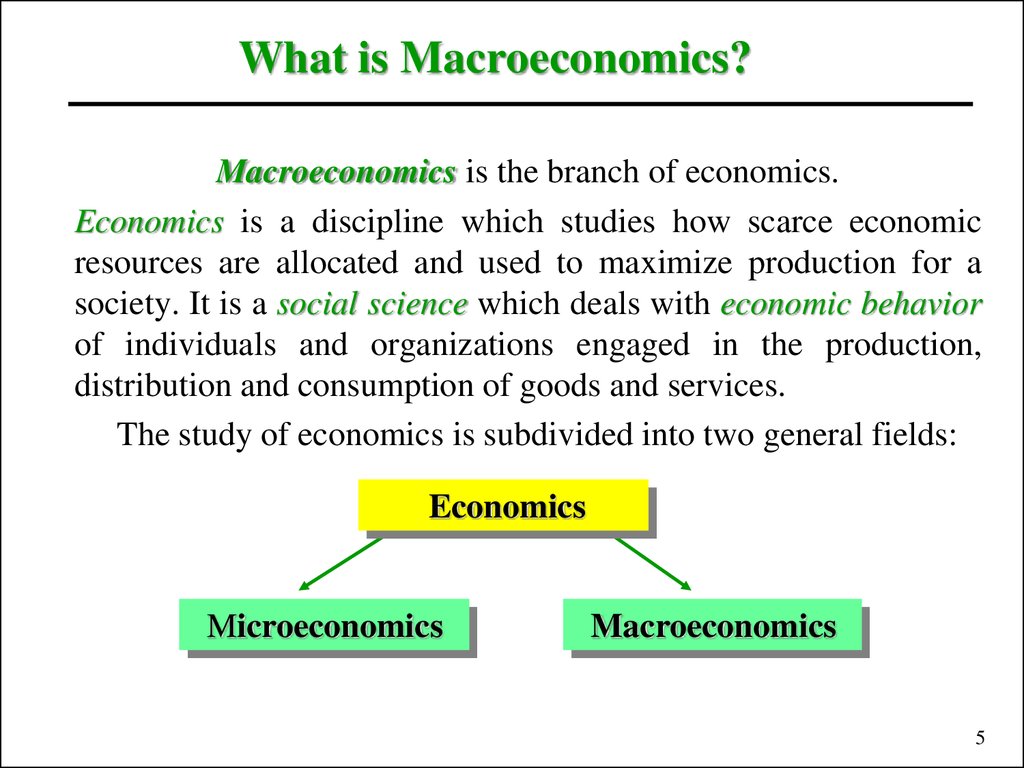 definition of macro management