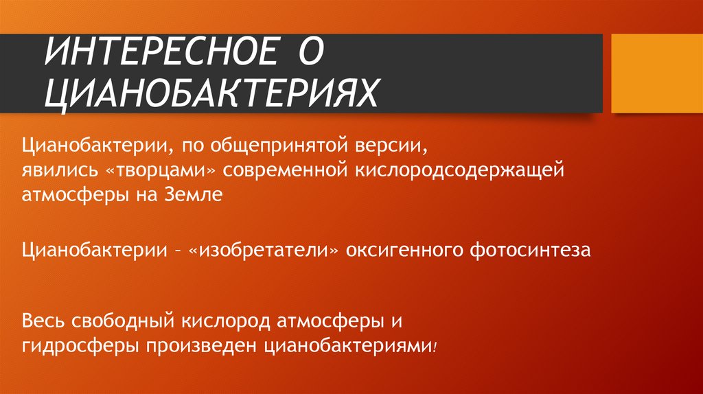 ИНТЕРЕСНОЕ О ЦИАНОБАКТЕРИЯХ