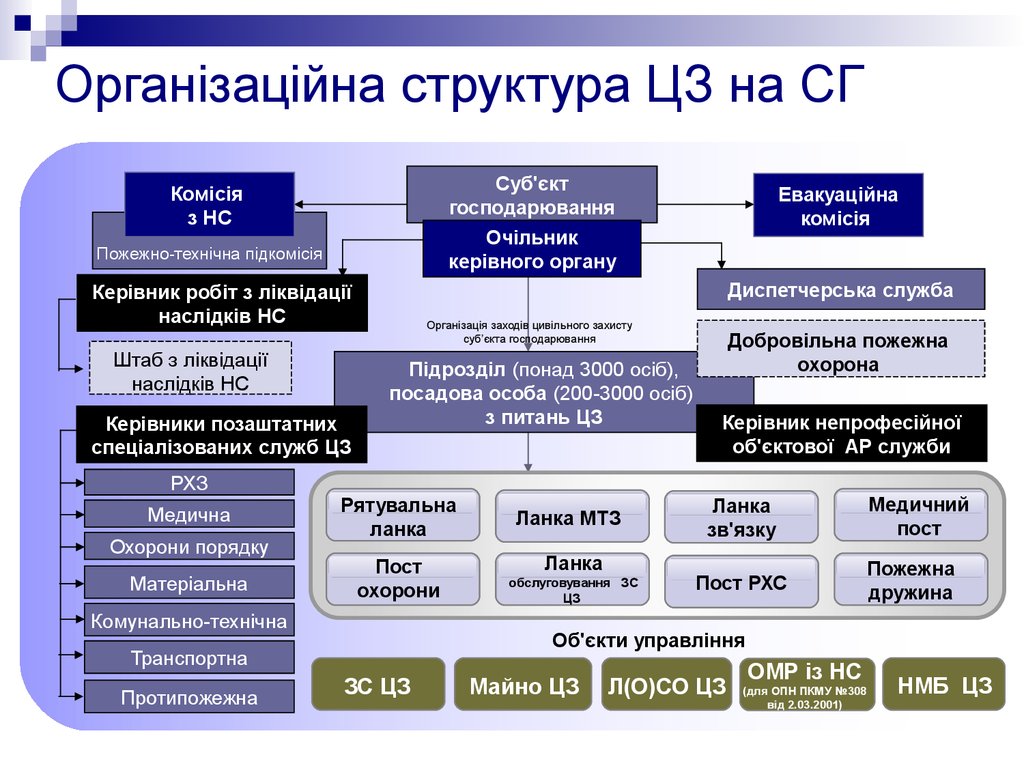 Організаційна структура ЦЗ на СГ
