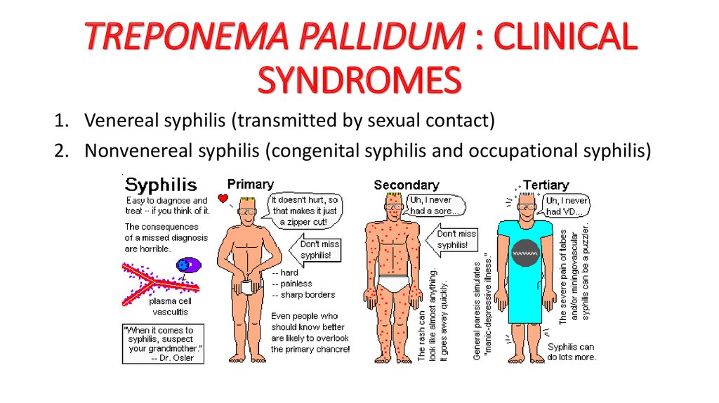 Anticuerpos anti treponema pallidum positivo que significa