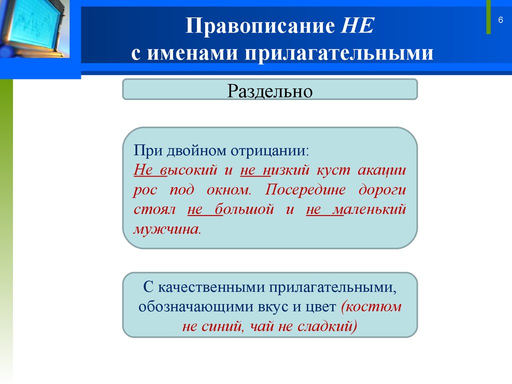 Всегда пишутся с не раздельно прилагательные