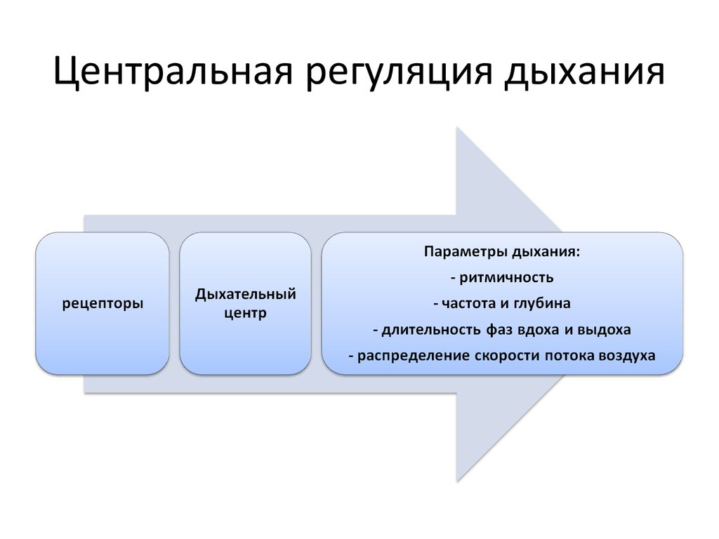 Патофизиология дыхания презентация