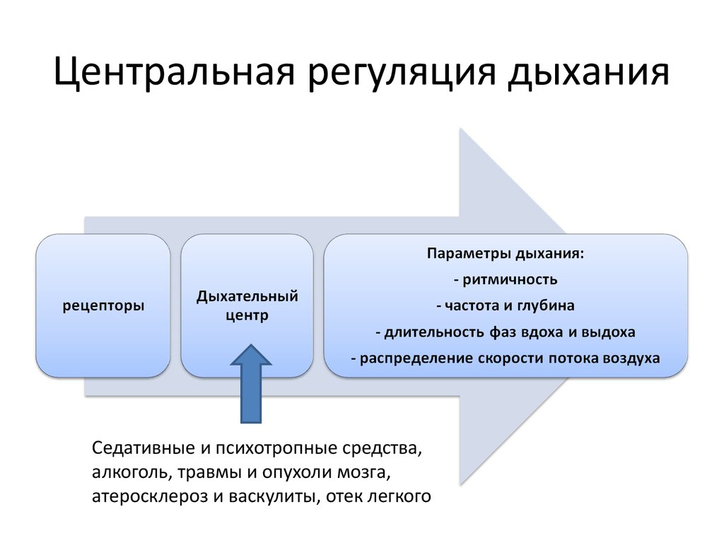 Патофизиология внешнего дыхания презентация