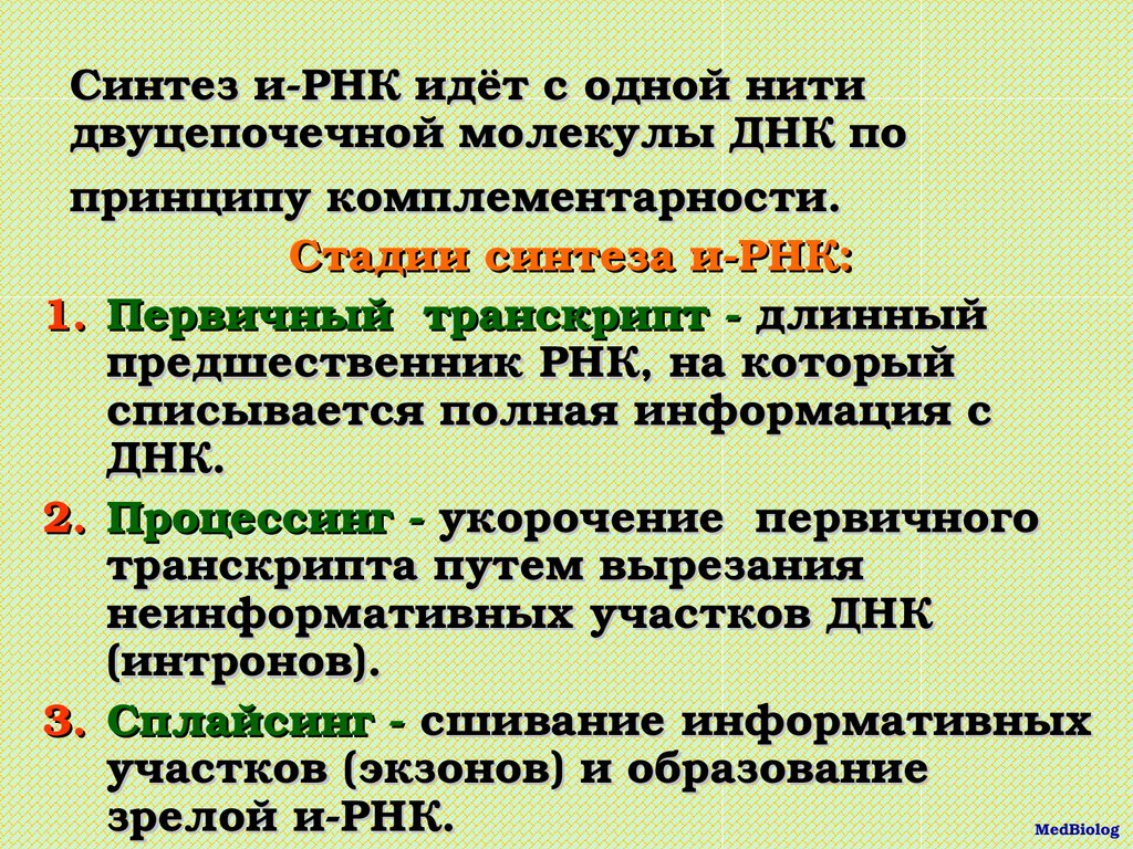 Синтез ирнк начинается с. Синтез РНК. Синтез информационной РНК. Этапы синтеза ИРНК. Синтез РНК кратко.