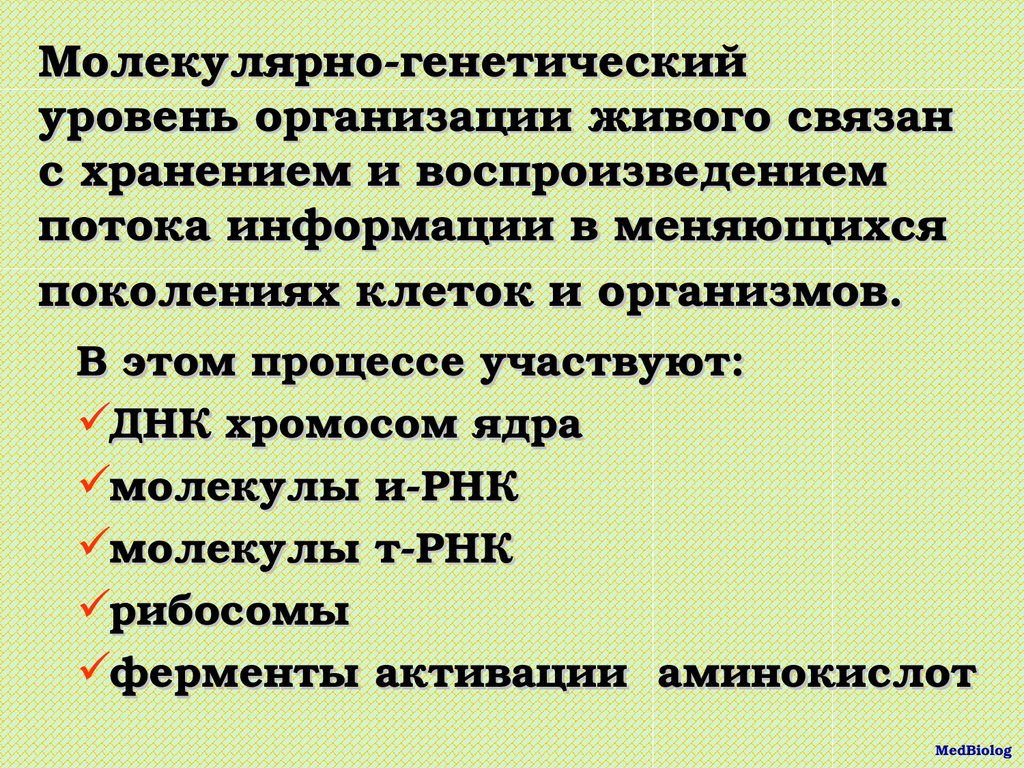 Организация наследственной информации