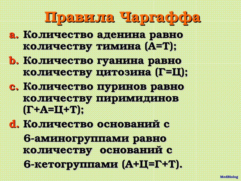 Равно численность. Правила Чаргаффа. Аденин равен Тимину. Количество аденина равно количеству Тимина. Правило Чаргаффа для ДНК И РНК.