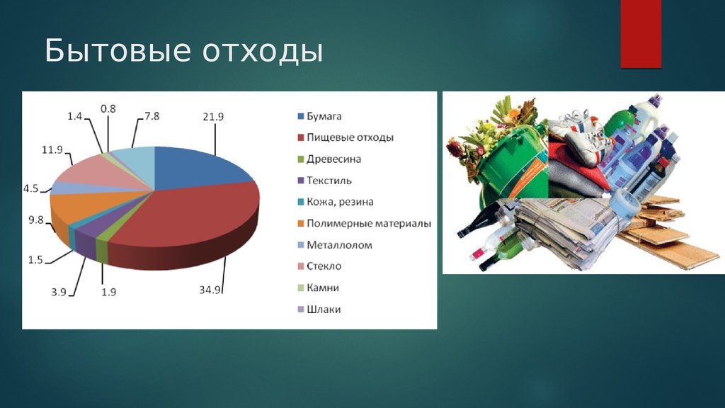 Бытовые отходы как экологическая проблема индивидуальный проект