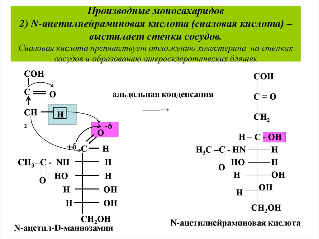 Кислота 15. Производные моносахаридов нейраминовая кислота. Ацетилнейраминовая кислота формула. N-ацетилнейраминовой кислоты. Биологическую роль n-ацетилнейраминовой кислоты.