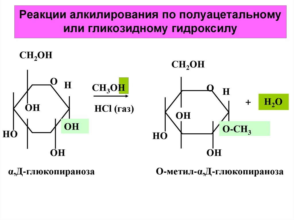 Реакции на гидроксильную группу. Алкилирование Глюкозы формула. Алкилирование ксилозы. Реакция алкилирования Глюкозы. Альфа Глюкоза алкилирование.