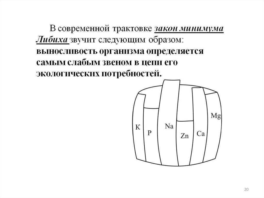 Закон минимума презентация