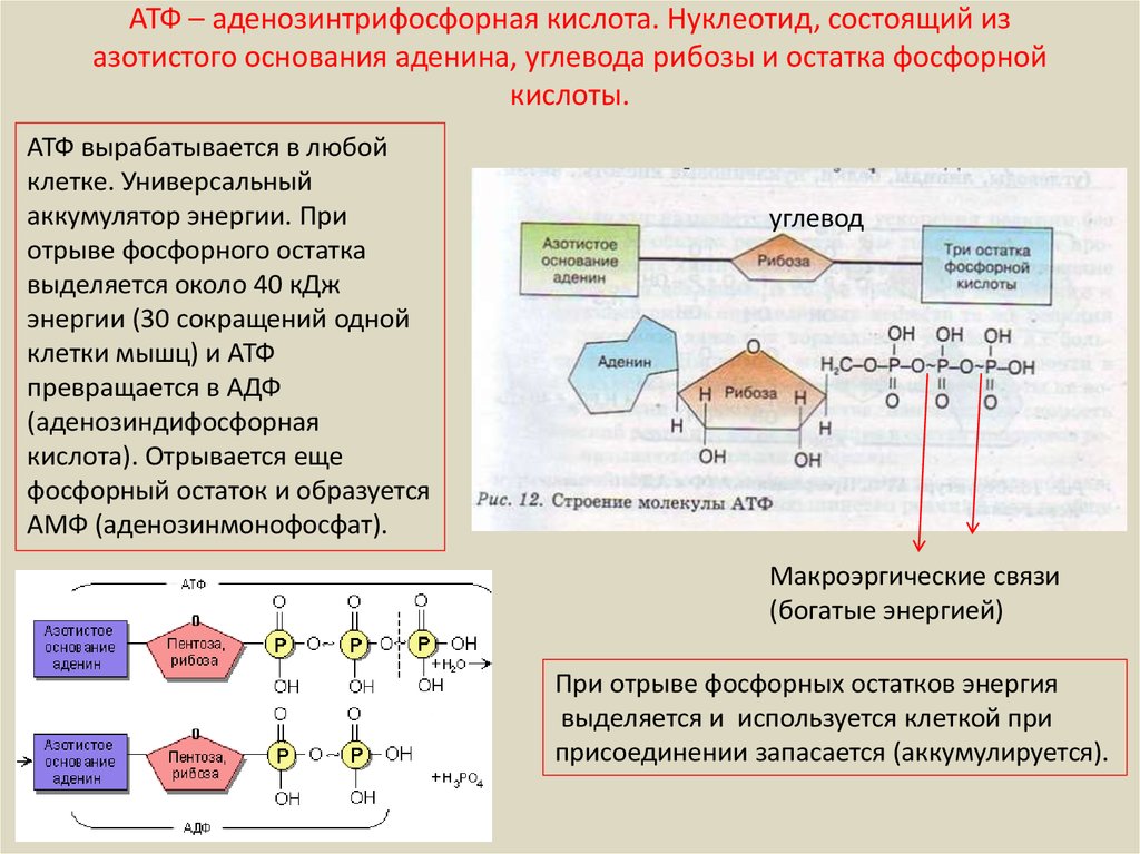 Для презентации своего продукта в режиме автоматической прокрутки необходимо порядка 10 слайдов