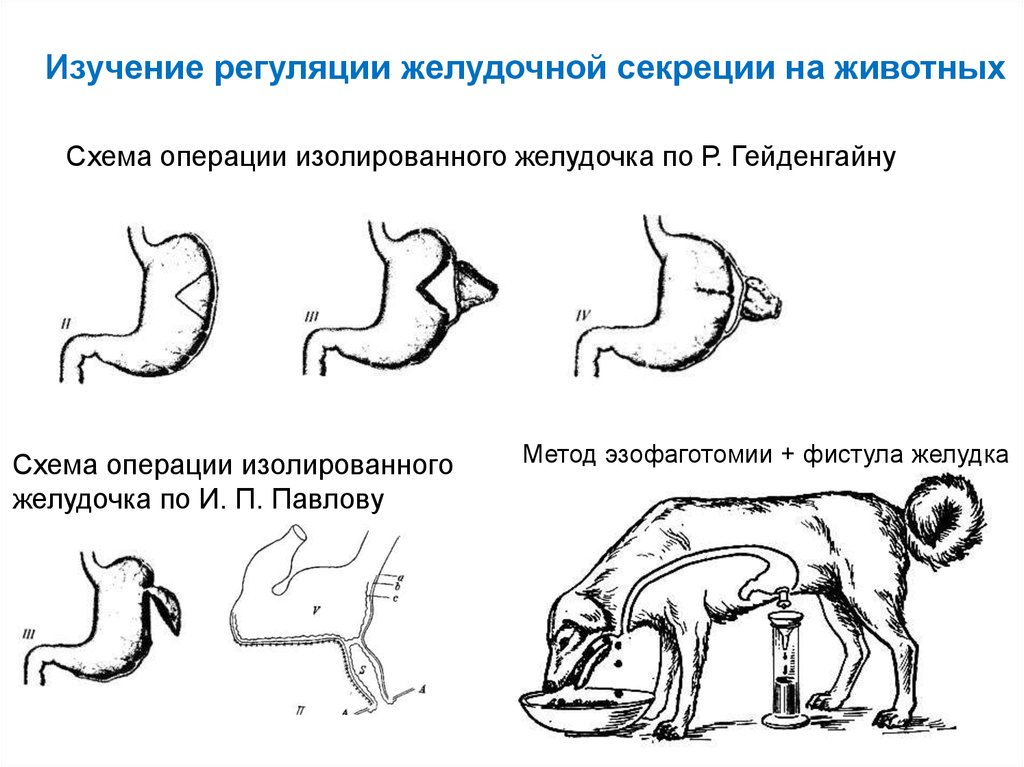 Фистула басова схема