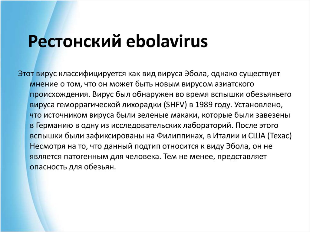 Рестонский ebolavirus