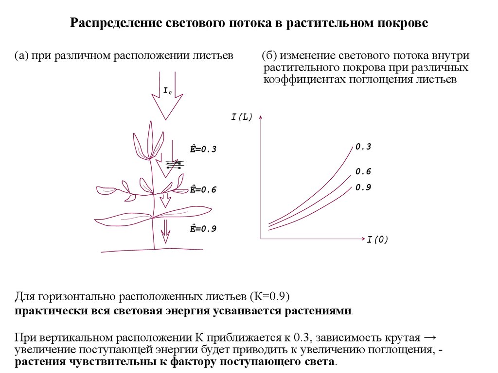 Распределение светового потока. Коэффициент поглощения тысячелистника. Коэффициент спиртопоглощения. Коэффициент спиртопоглощения ЛРС.