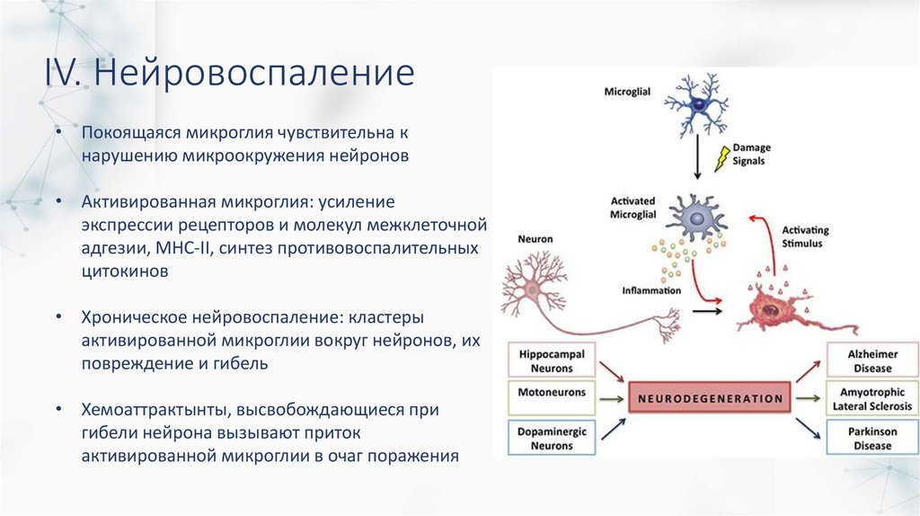 Нейровоспаление. Нейровоспаление симптомы и лечение. Нейровоспаление у детей. Нейровоспаление у детей симптомы.