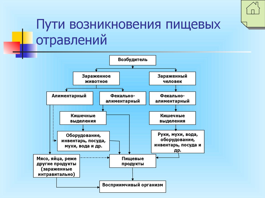 Какой механизм передачи при кишечных