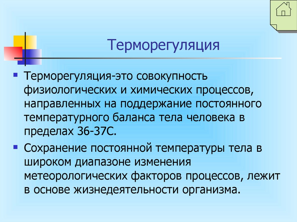 Терморегуляция. Терморегуляция организма человека. Процессы терморегуляции. Понятие терморегуляции.