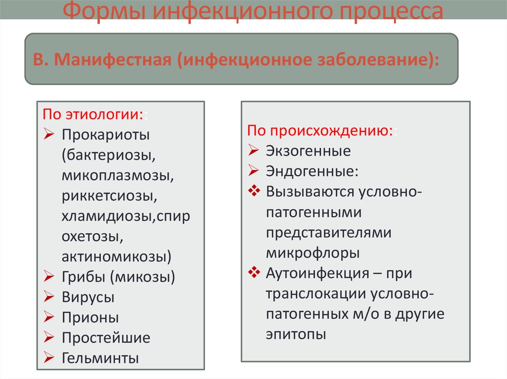 Уровни инфекционного процесса