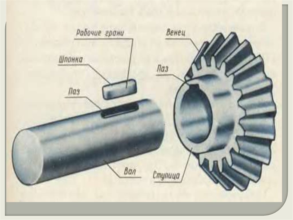 Как выглядит шпонка. Шпоночные и шлицевые соединения. Шпоночное соединение вала и шестерни. Соединение шлиц - шпонка. Зубчатые шлицевые соединения.