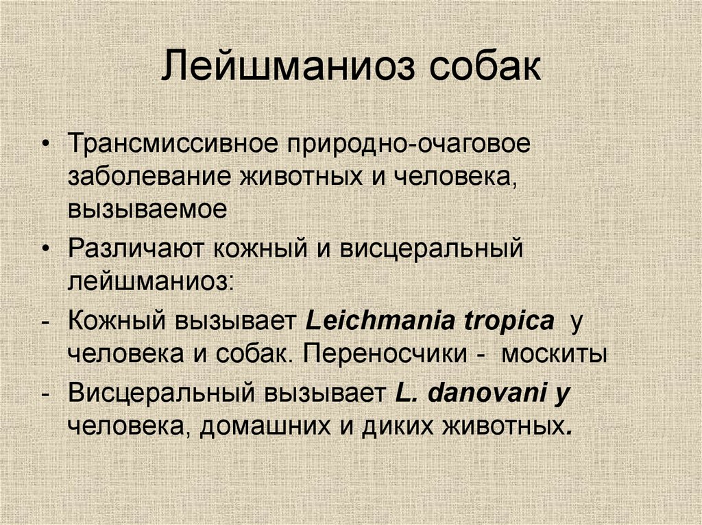 Лейшманиоз природно очаговое. Заболевания человека вызываемые лейшманиями. Лейшманиоз трансмиссивное заболевание.