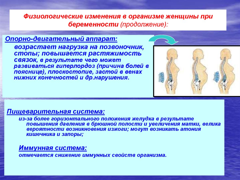 Физиологические изменения в организме при беременности презентация