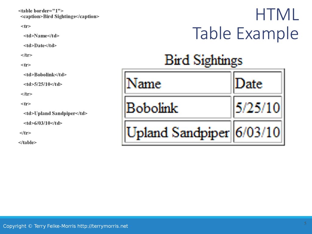 HTML Table Example