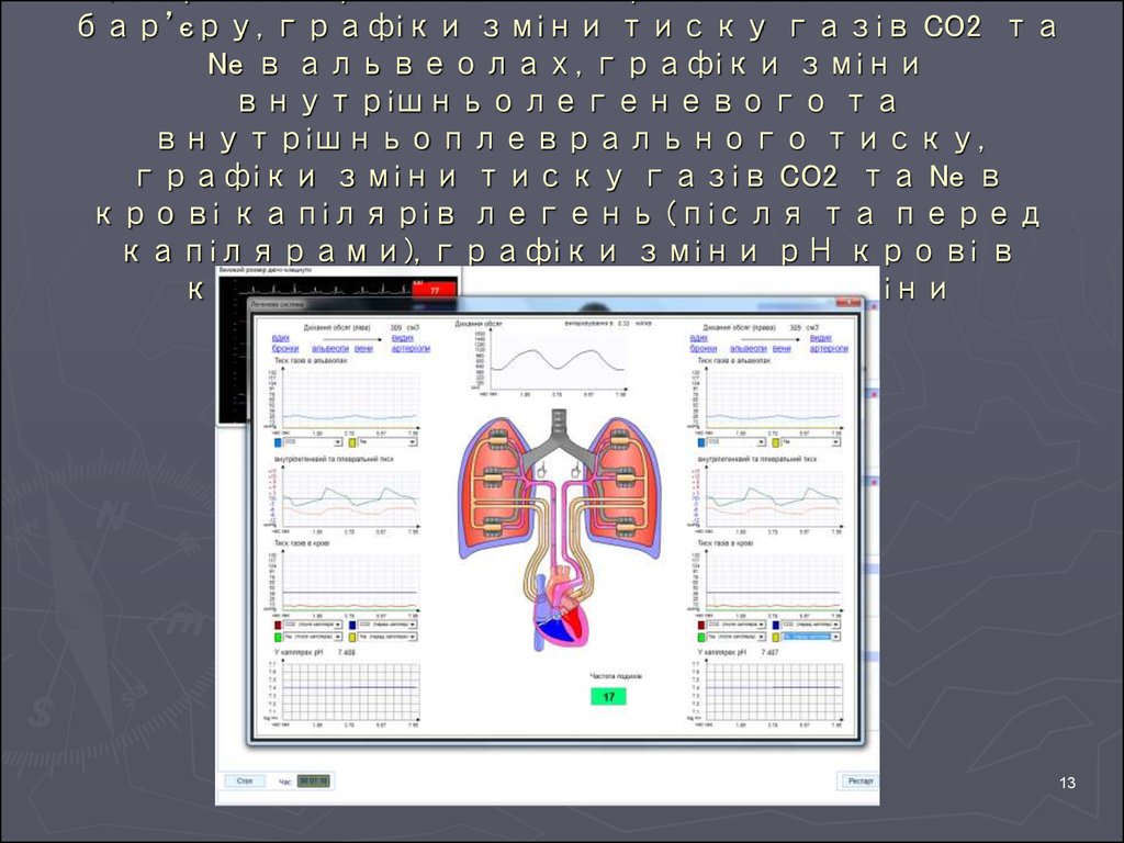 5.2 Вивчення дихальної системи (характеристики аерогематичного бар’єру, графіки зміни тиску газів CO2 та Ne в альвеолах, графіки зміни внутрі