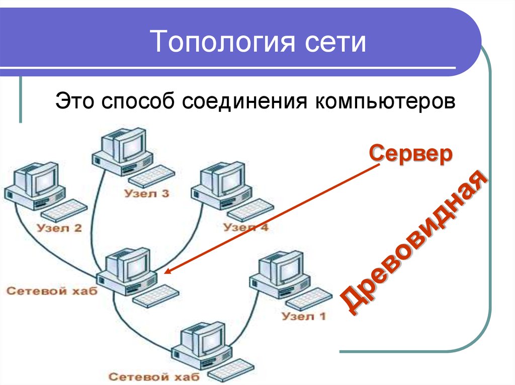 Топологии компьютерных сетей презентация